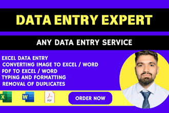 do fast and immediate data entry for you