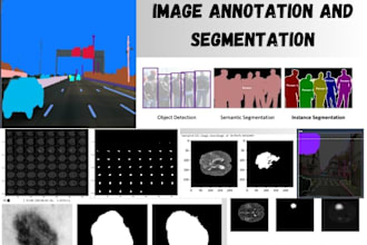 do image annotation, semantic and instance segmentation