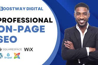 do a professional on page SEO optimization for any website