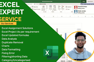 solve a assignment in microsoft excel