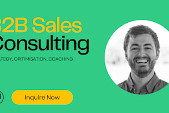 be your b2b sales consultant and sales coach