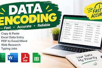 do fast and accurate data entry and data encoding