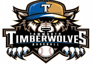 design awesome wolf logo