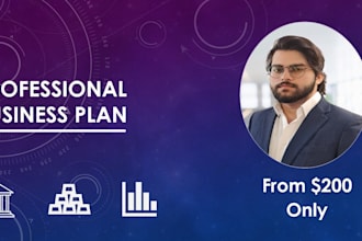 develop a professional business plan
