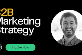 be your b2b marketing strategy consultant