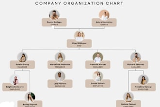 design your company organograms and organizational structure