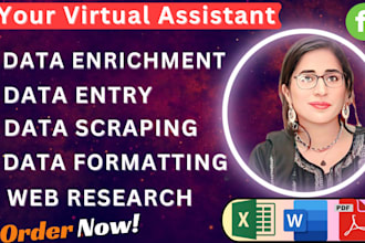 do data enrichment, data entry, web research, pdf conversion and data cleaning