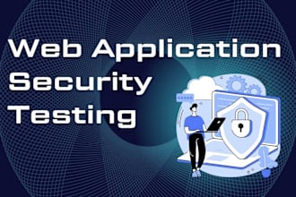 perform application security assessment on your web app