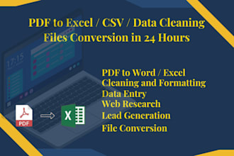 convert PDF to excel, data cleaning, data entry,