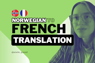 translate from norwegian to french