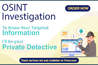 be your online osint investigator