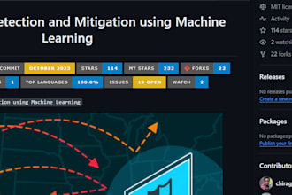 provide consultation for ddos attack detection project setup