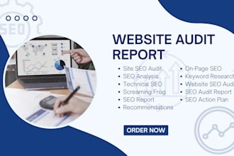 perform a full site audit with a detailed SEO report