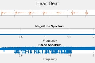 do matlab programming and signal processing