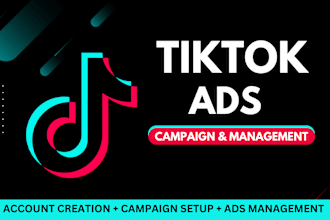 setup and  manage tiktok ads campaign, tiktok ads, tik tok advertising