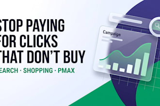 manage your google ads shopping and pmax campaigns for your ecommerce store