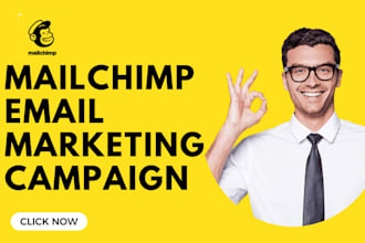 setup mailchimp email marketing campaing
