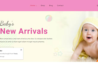 design baby shopify store baby wears baby walker store baby car seater website