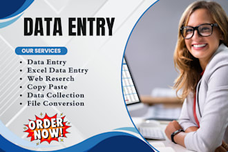 do excal data entry, coppy paste ,pdf to excal and typing
