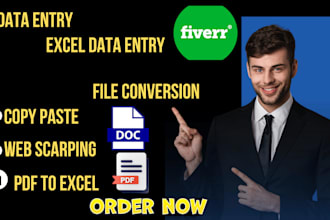 do data entry, copy paste,  excel data entry, pdf to excel