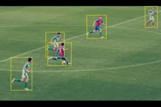 do data annotation, image annotation, data labeling, audio, video, text for u