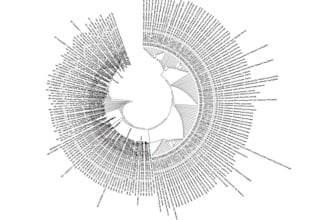 provide extraordinary phylogenetics analysis using advanced bioinformatics