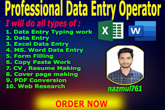 do data entry , typing,  ms excel, word , formula sheet, convert PDF