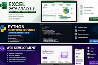 do excel data analysis, python scripting, and data processing