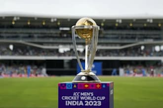 write the cricket articles for you