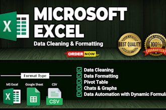 excel data cleaning and formatting