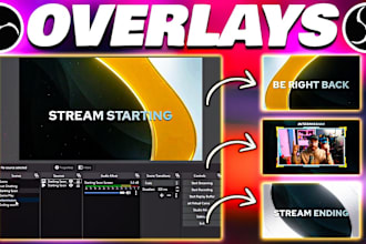 offer a professional obs setup, custom free overlay, start streaming instantly