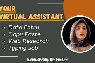 be your virtual assistant for data entry, copy paste, web research, and typing