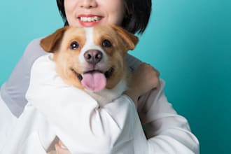 translate english to chinese, proofread chinese, teach chinese etc
