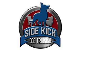 design high quality dog training logo with express delivery