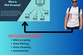 professional web scraping and email extraction services