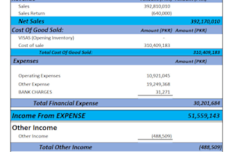 do bookkeeping, bank reconciliation financial statement using quickbooks, xero