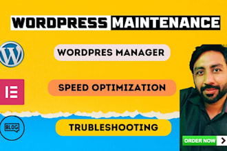 fix wordpress issues, provide website maintenance, and offer wp support