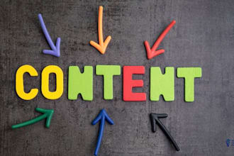 provide professional and original writing solutions