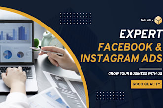 setup expert facebook and instagram ads for leads and traffic and sales