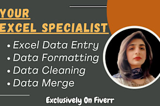 do excel data entry, data merge, cleanup, and formatting