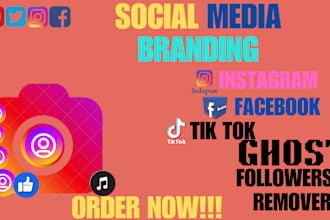 identify and clean up all your instagram ghost fake bot and inactive followers