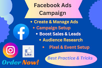 do profitable meta ads campaign