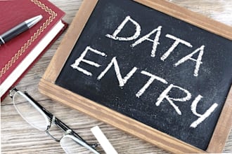 do expert data entry and typing english and kannada