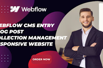 develop webflow cms entry blog post collection management responsive website