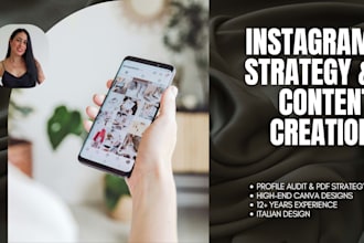 provide instagram analysis, strategy, and custom post design to boost your ig