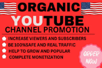 skyrocket USA youtube organic channel promotion to reach the targeted audience