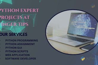 do python expert assignments gui scripts apps and software development