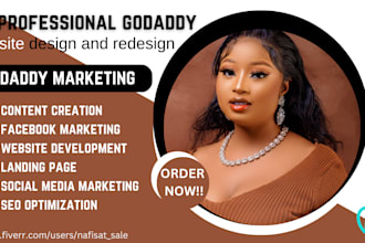 design or redesign your godaddy website professionally, or website design