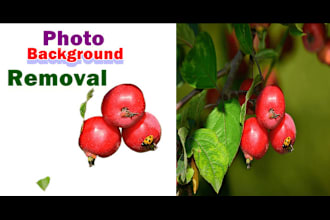 photo editing background removal, white or transparent