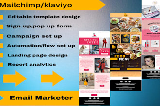design mailchimp or klaviyo editable email template and newsletter